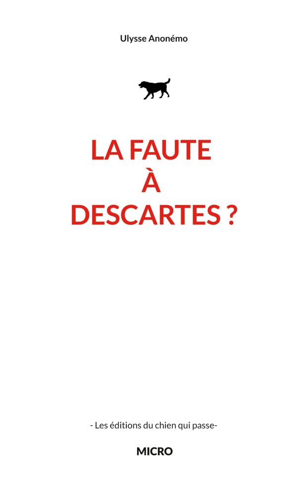 Couverture du livre La faute à Descartes, coup de cœur littéraire de Thierry Aymès